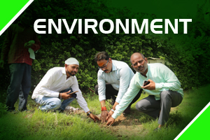 200x300 pixlle enviroment