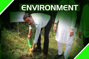 200x300 pixlle enviroment